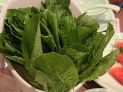 -掂档潮汕牛肉火锅(沈阳万象城店)