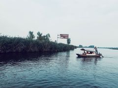 -白洋淀景区