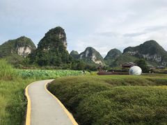 -靖西鹅泉风景区