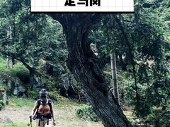 -会稽山峡洞漂流-上青古道