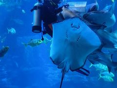 -太平洋海底世界