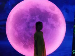 -天津梵高星空艺术馆(天河城旗舰店)