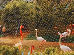 -大连老虎滩海洋公园