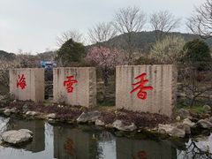 -香雪海