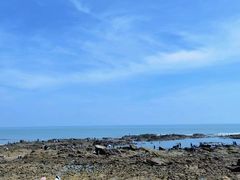 -老太太海鲜城(森林公园任家台店)