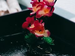 -丽江庭院之丽江往事(安定门店)