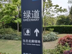 -新江湾城公园