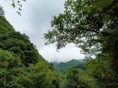 -福奈特洗衣洗鞋(莘谭路店)