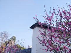 -乌山风景区
