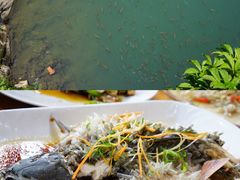 -下梅人家土菜馆(历史文化餐厅度假区店)