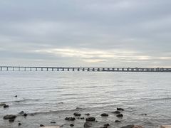 -宝安西湾红树林湿地公园