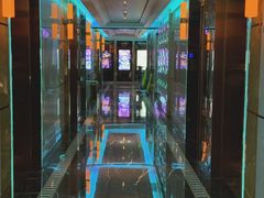 -温莎KTV(珠江路店)