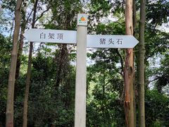 -火炉山森林公园