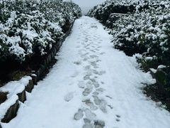 -中国茶叶博物馆(双峰馆区)