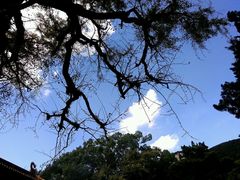 -普陀山风景名胜区-法雨禅寺