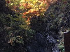 -沈阳辉山风景区