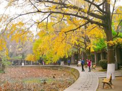 -四川大学(华西校区)