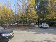 -胜华驾校·小猫学车(银都店)