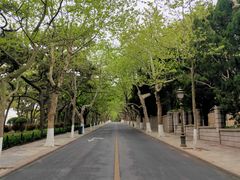 -八大关景区