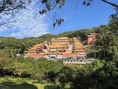 -东莞市大岭山森林公园