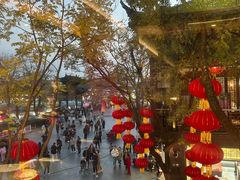-奇芳阁·百年清真南京菜(夫子庙店)