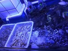 -路边摊小炉子烧烤