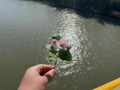 -安吉龙王山峡谷漂流