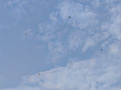 -武昌江滩