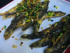多春鱼-红桃妖烧烤·啤酒