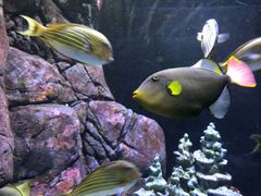 -成都浩海立方海洋公园