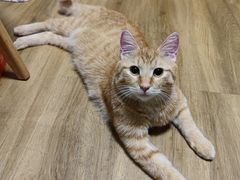 -泊寓(真如上海西站旗舰店)