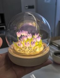 -宝生月子中心(独栋园林·福田店)