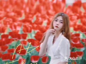 魔都小众郁金香花海｜松江竟藏有郁金香宝藏图