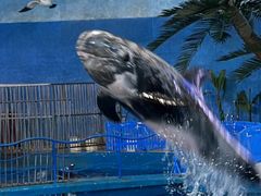 -泉城欧乐堡海洋极地世界