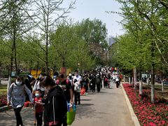 -长白岛森林公园