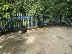 -宁波九龙湖开元度假村