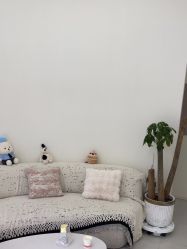 -苗方清颜专业祛痘·皮肤管理