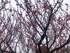 景点-林屋洞景区