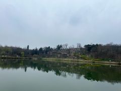 -宜兴龙背山森林公园