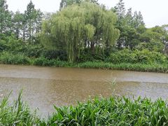 -新江湾城公园