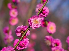 -雨花胜境