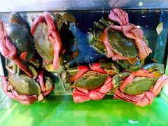 -小娘惹厨房Little Nyonya(狮城有约上榜店)
