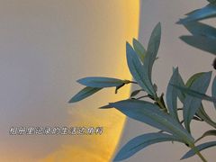 -伊斯坦布尔土耳其清真咖啡餐厅