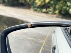 -胜华驾校·小猫学车(银都店)