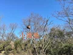 -扬州市茱萸湾风景区