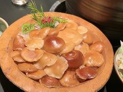 -季季山·云南野生菌火锅(上海首店)