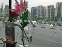 -法兰度航空主题餐厅(河源店)