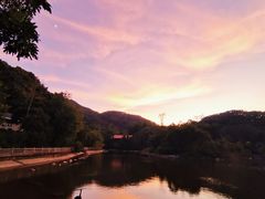 -广州市帽峰山景区