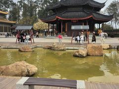 -广东圆玄道观