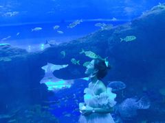 -成都浩海立方海洋公园